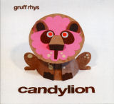 Gruff Rhys