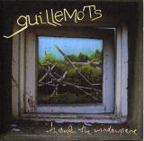 Guillemots