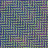 Animal Collective